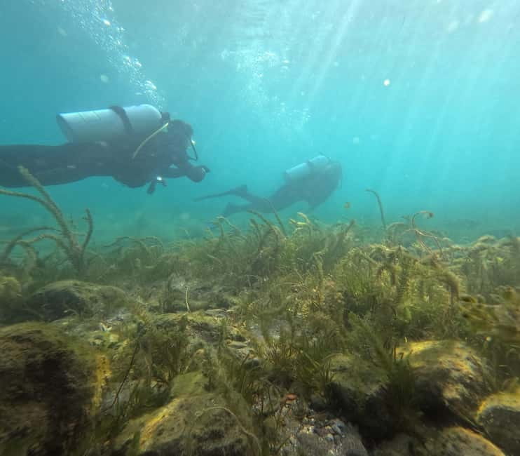 Ohrid: Scuba Diving Experience in Lake Ohrid - Meeting near Ohrid’s port