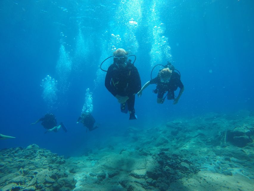 Oia: 2 Guided Scuba Dives off Santorini for Certified Divers - Key points to know before booking