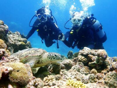 Okinawa:Naha:Kerama Island Experience １Dive and Snorkeling