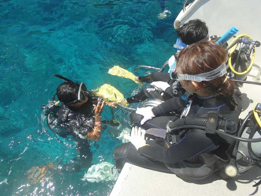 Okinawa:Naha:Kerama Island Experience １Dive and Snorkeling - Seasonal Bonuses, From Whales to Shaved Ice