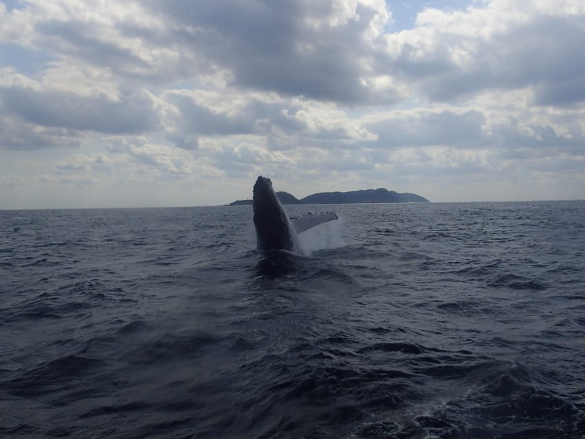 Okinawa:Naha:Kerama Island Experience １Dive and Snorkeling - Practical Packing and Boat Rules