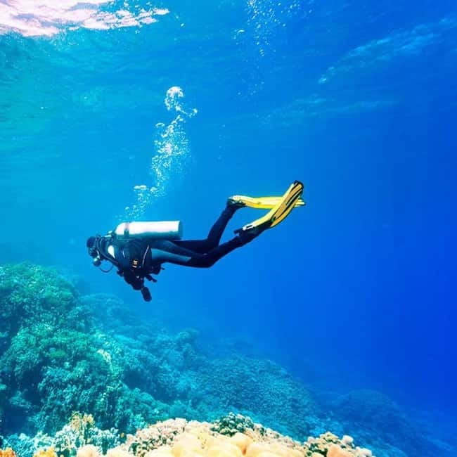Oludeniz Half Day Scuba Diving Program - Choosing between Blue Cave and Cape Atatürk