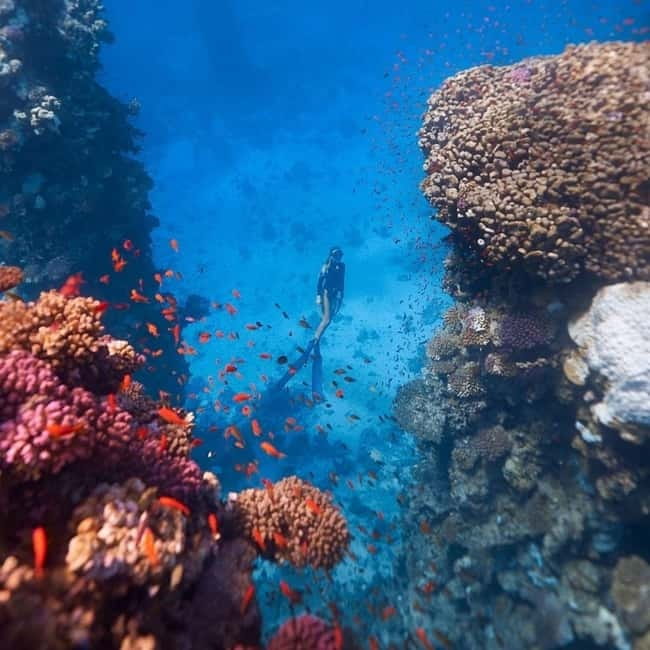 Oludeniz Half Day Scuba Diving Program - The 30-minute underwater session