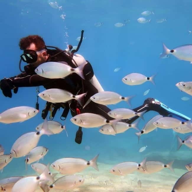 Oludeniz Half Day Scuba Diving Program - Practical value, timing, and flexibility
