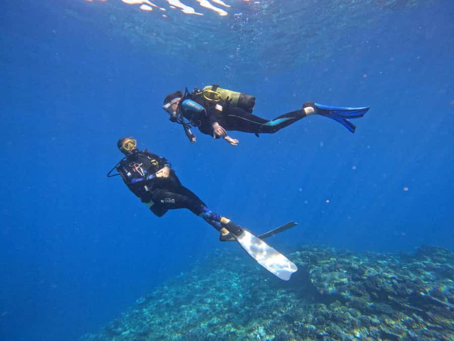 One-hour introduction to scuba diving! - A gentle introduction to Réunion scuba