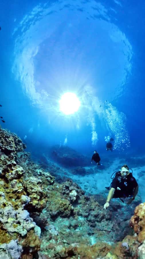 One-hour introduction to scuba diving! - A supervised hour in the Nature Reserve