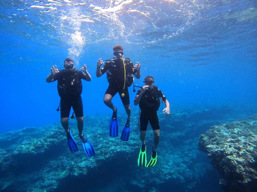 One-hour introduction to scuba diving! - Timing, clothing, and simple preparation