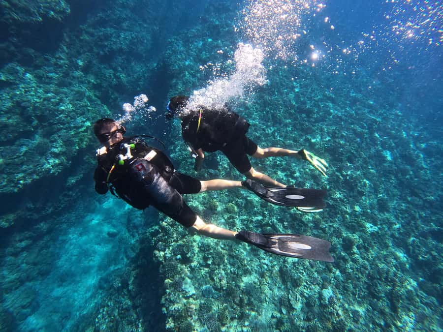 One-hour introduction to scuba diving! - What happens before you enter the water