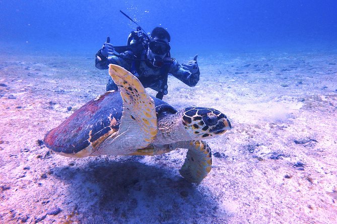 Open Water Certification Course-PADI - Weather, currents, and schedule changes