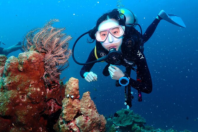 Open Water Course - Become certified diver in 3 days - Learning underwater skills in a four-person group