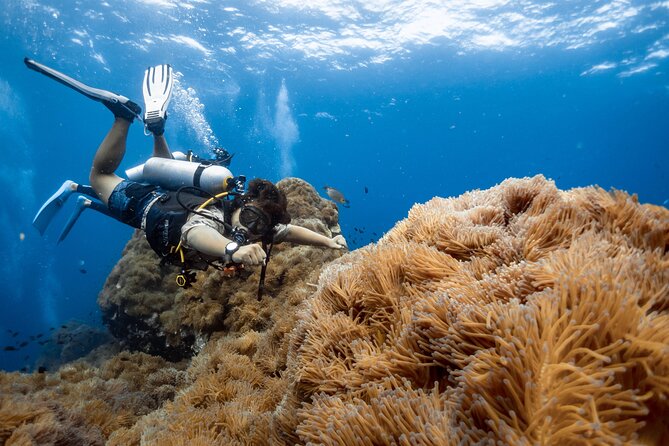 Open Water Course - Become certified diver in 3 days - Day one: getting comfortable with the course