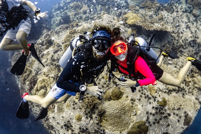Open Water Course - Become certified diver in 3 days - Instructors who shape the experience