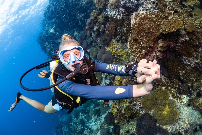 Open Water Course - Become certified diver in 3 days - Who should book this course?
