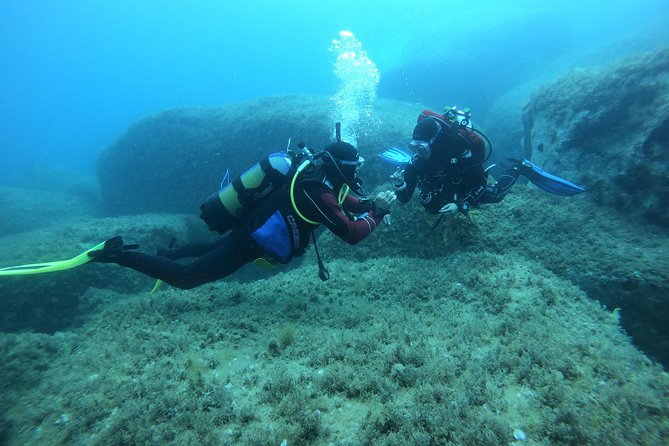 Open Water Diver Course - Key points to know before booking