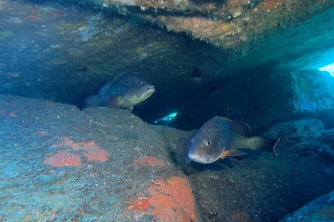 Open Water Diver Course - Day two: repeating skills until they feel natural