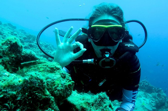 Open Water Diver Course at Blue Bay Dive in Curacao - The instructors and the teaching style