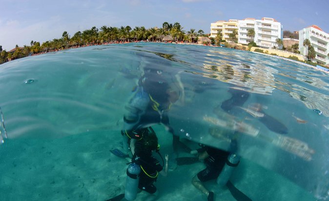 Open Water Diver Course at Blue Bay Dive in Curacao - Who will get the most from this course