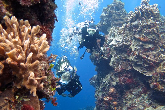 Open Water Diver course PADI in Cancun - Pool practice before the ocean