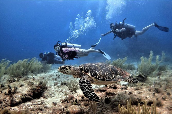 Open Water Diver course PADI in Cancun - Is $600 a fair price?
