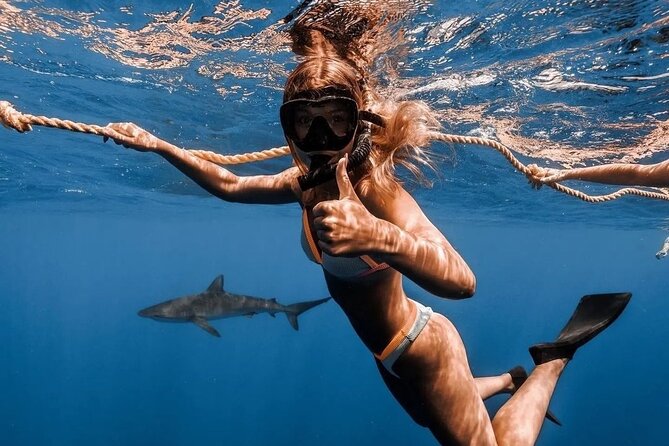 Open Water Shark Dive - Why a six-person limit changes the outing