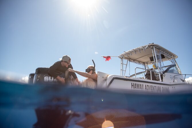 Open Water Shark Dive - Timing, transport, and what to bring mentally