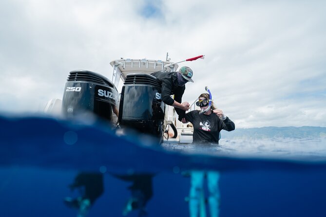 Open Water Shark Dive - Who should book this experience