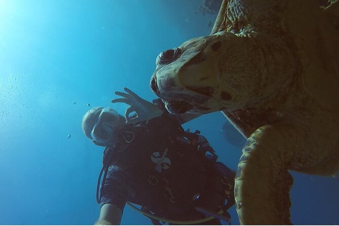 PADI Advanced Diving Course in Hurghada - Learn Scuba Diving - Who should book this course