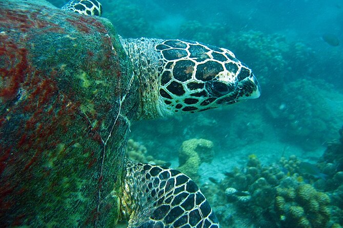 PADI Advanced Open Water Diver course Two days one night included accommodation - Mae Haad overnight stay and what to pack