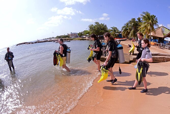 PADI Discover Scuba Dive - Why the Dive Bus reef works for a first scuba outing
