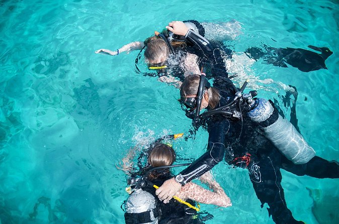PADI Discover Scuba Dive at 5 Star Dive Center Blue Bay Dive, Curacao - The $125 price and what you receive