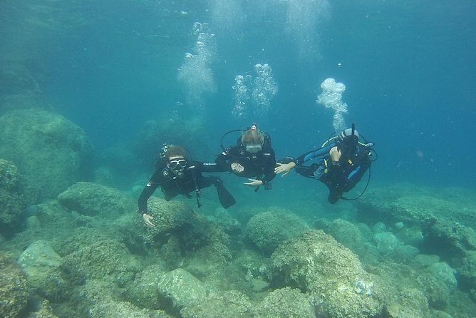 PADI Discover Scuba Diving - The reef experience: coral, fish, and a close guide
