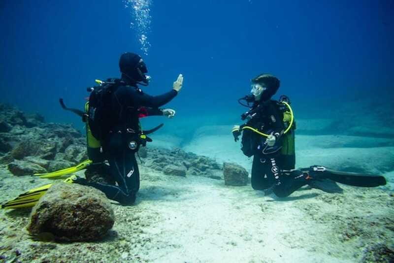 PADI Discover Scuba Diving: at Hol Chan Marine Reserve - Shark Ray Alley adds a second kind of encounter