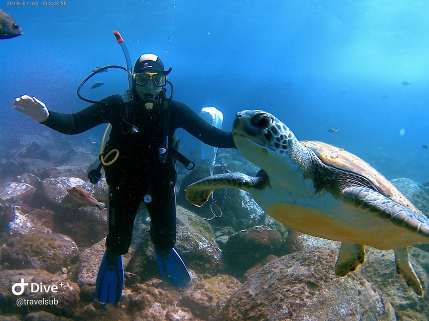 PADI Discover Scuba Diving Course in Tenerife - What this Tenerife scuba experience really offers