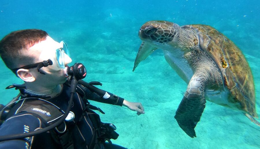 PADI Discover Scuba Diving Course in Tenerife - Online preparation before you arrive