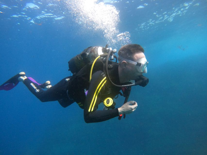 PADI Discover Scuba Diving Course in Tenerife - The 15-minute speedboat ride