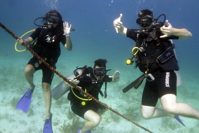 PADI Discover Scuba Diving for divers without certification - Full Instruction Before You Enter the Water