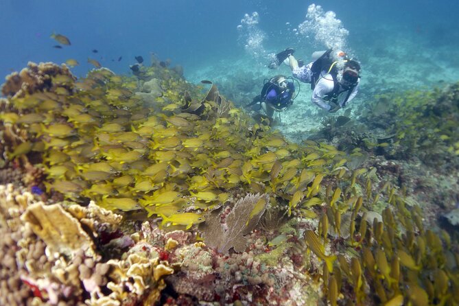 PADI Discover Scuba Diving for divers without certification - The Comfort Question: Calm, Curious, and Physically Ready
