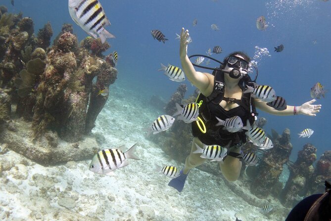 PADI Discover Scuba Diving for divers without certification - Who Should Choose This Isla Mujeres Program