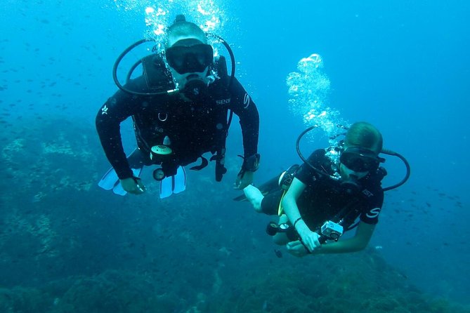 PADI Discover Scuba Diving in Koh Tao - half day and two dives - Starting at Mae Haad at 10:30 a.m.