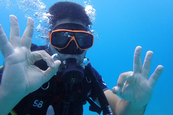 PADI Discover Scuba Diving in Koh Tao - half day and two dives - Is $121.19 a fair price?