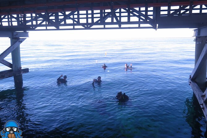 PADI Open Water Course - Rockingham pool day: where confidence begins