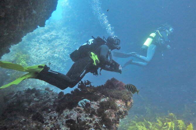 PADI Open Water Course - The instructors and the value of personal teaching