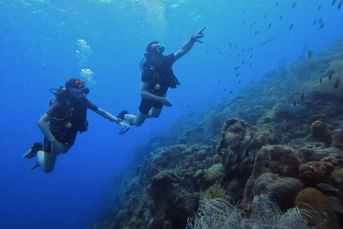 PADI Open Water Course in 3 Days - Key points to know before booking