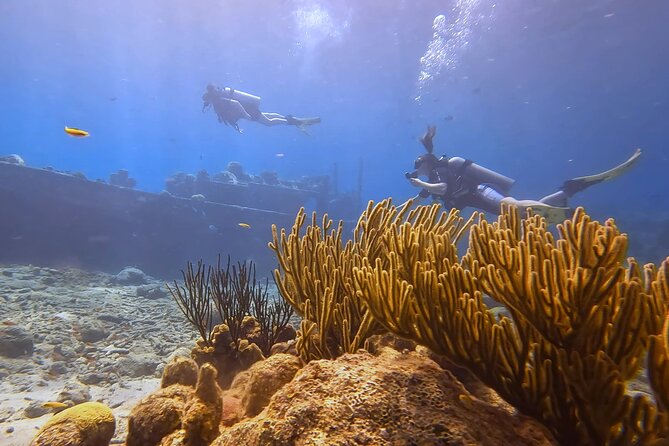 PADI Open Water Course in 3 Days - The practical limits of a three-day schedule