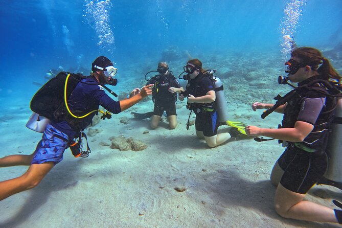 PADI Open Water Course in 3 Days - Day one: videos, theory, and confined-water skills