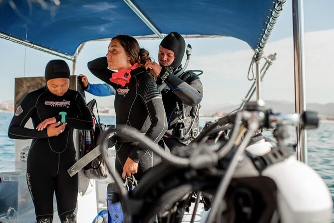 PADI Open Water Course in Cabo San Lucas - Finish the PADI study before you arrive