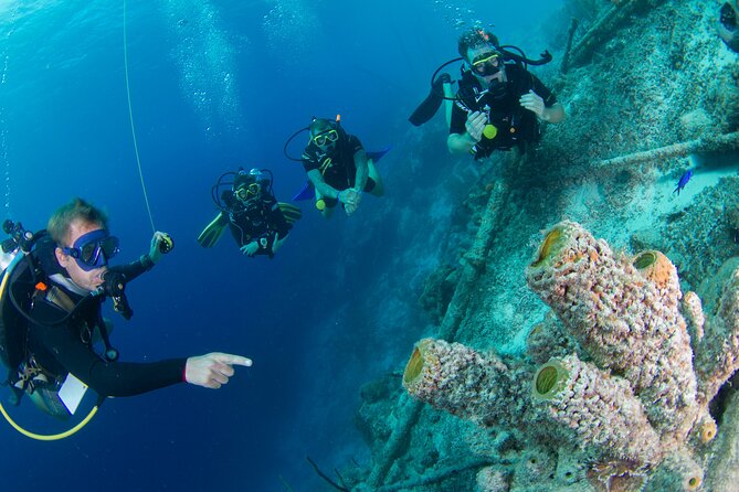 PADI Open Water Course in Curacao - Finishing the PADI theory before your vacation