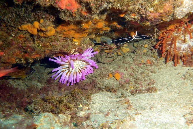 PADI Open Water Course in Gran Canaria - The teaching style and small-group advantage