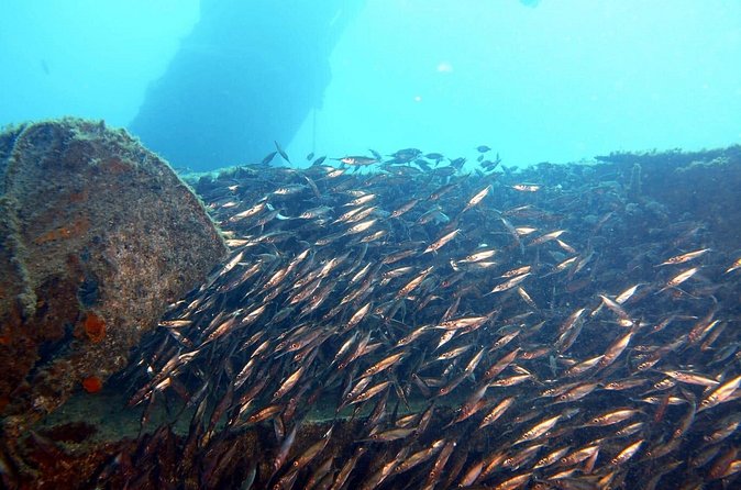 PADI Open Water Course in Gran Canaria - Age, health, fitness, and flight timing