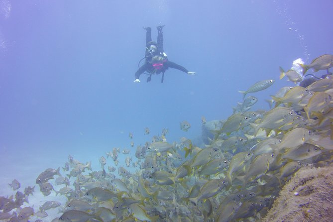 PADI Open Water Diver Course - Starting at 7:00 am in central Isla Mujeres